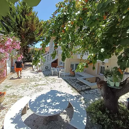 Plaza דירה *